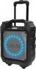 Voordeeldrogisterij Premium Tsp 305 Bluetooth Trolley Speaker Discolicht online kopen