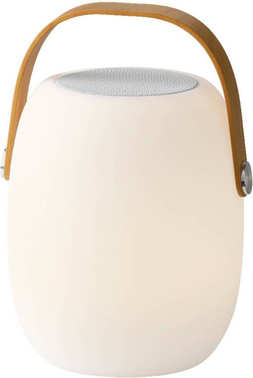 Lumineo LED speaker buiten