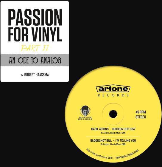 Passion for vinyl Part II An Ode to Analogue Robert Haagsma online kopen